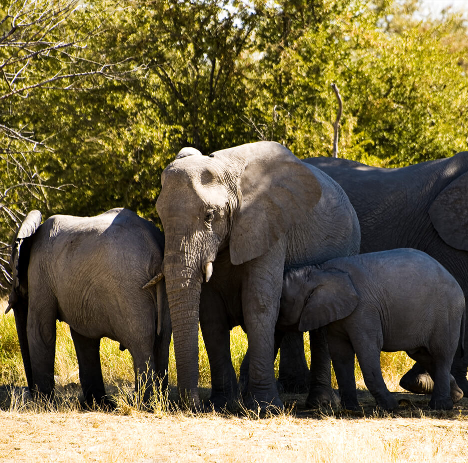 best-safari-company-uganda