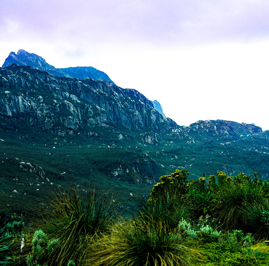 rwezonri-table-mountain
