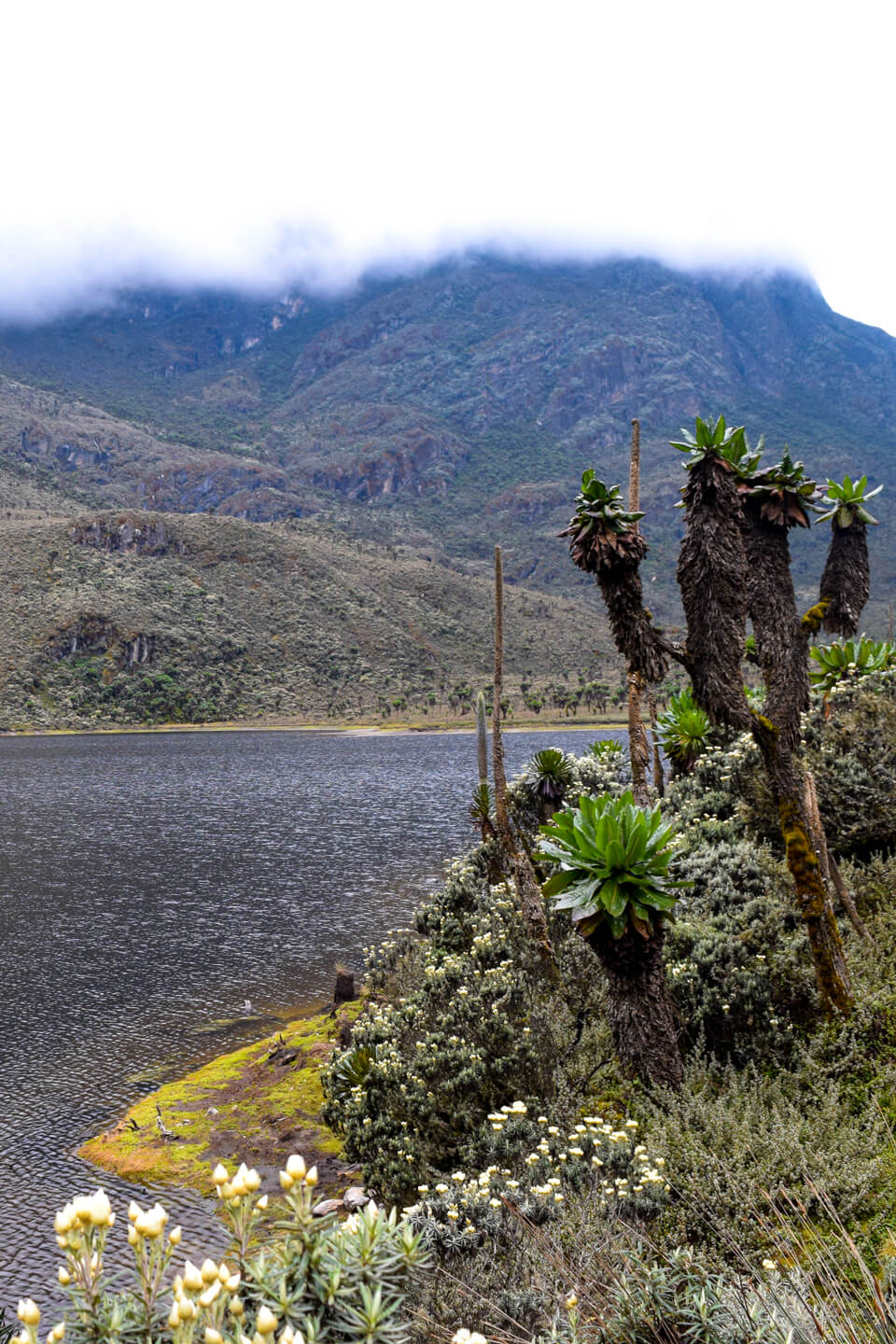 lake-bujuku-rwenzori