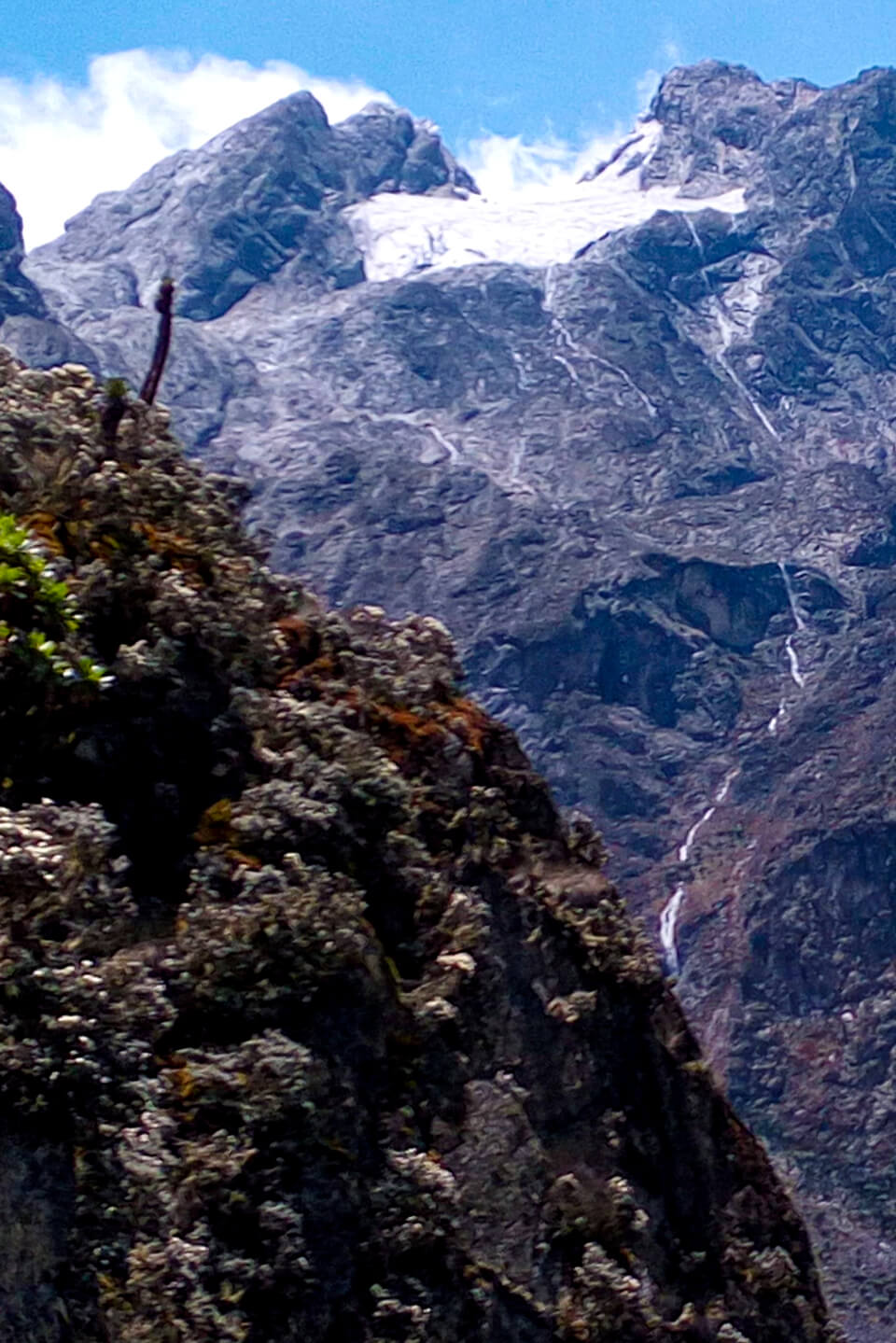 mount-rwenzori
