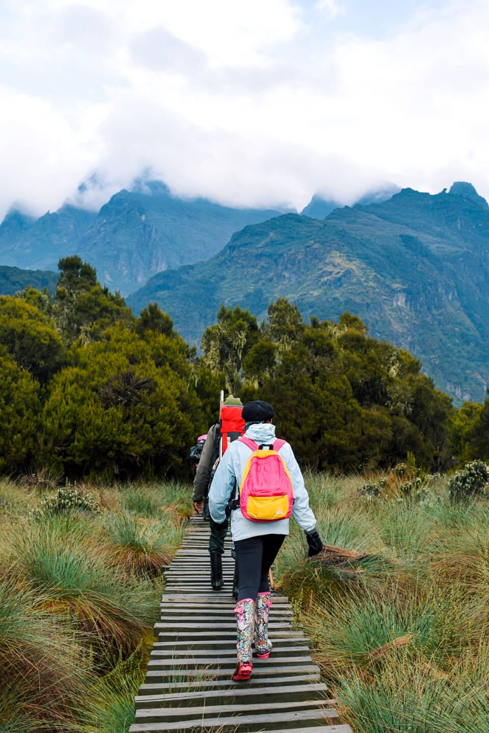 rwenzori-safaris